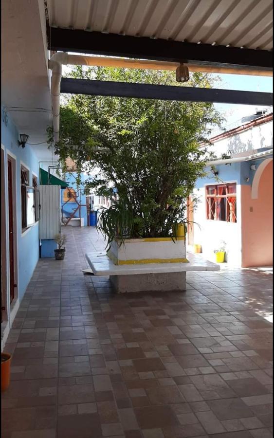 Hotel Reforma Inn Queretaro Bagian luar foto